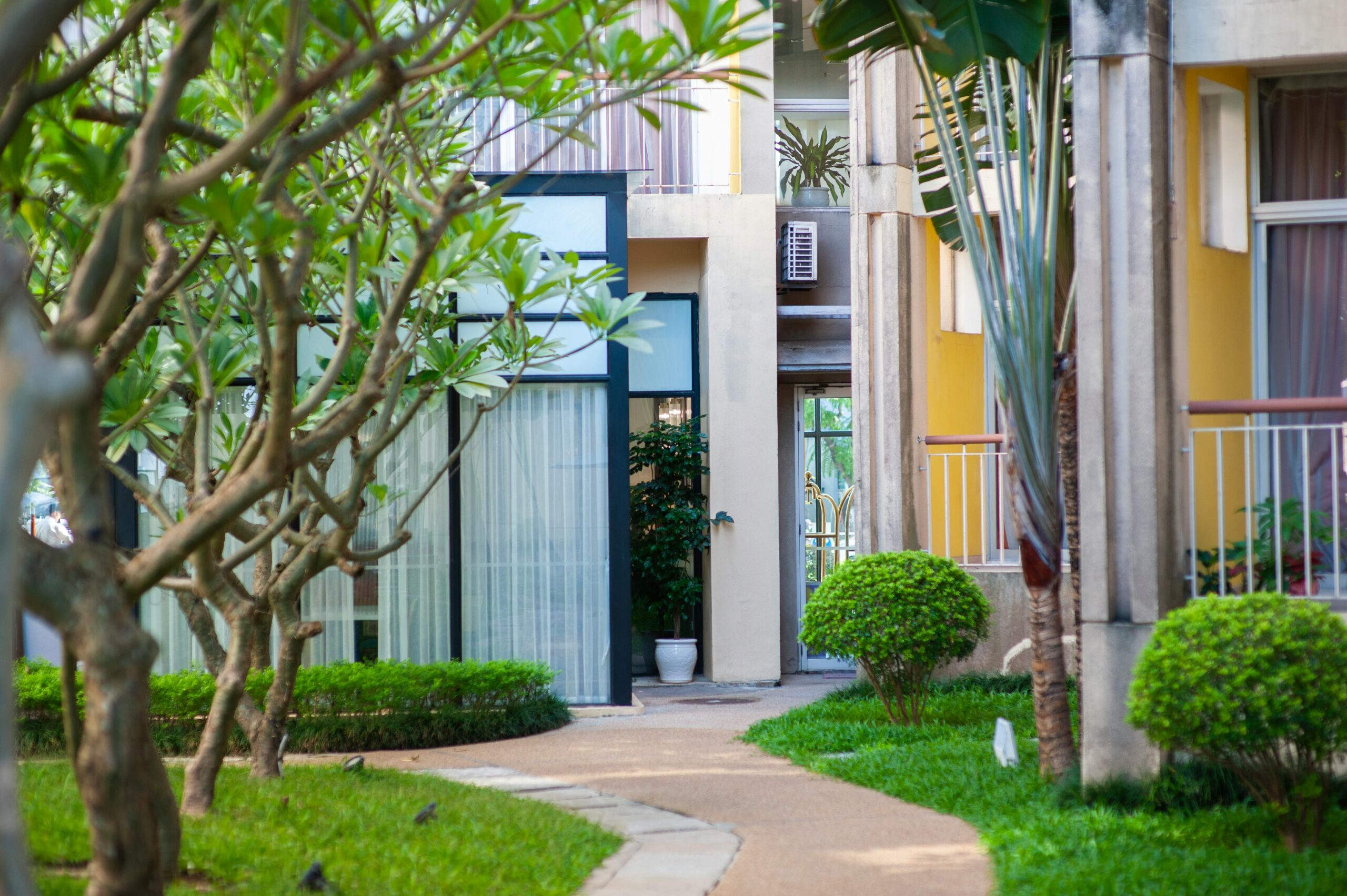Lush green garden with vibrant plants and flowers