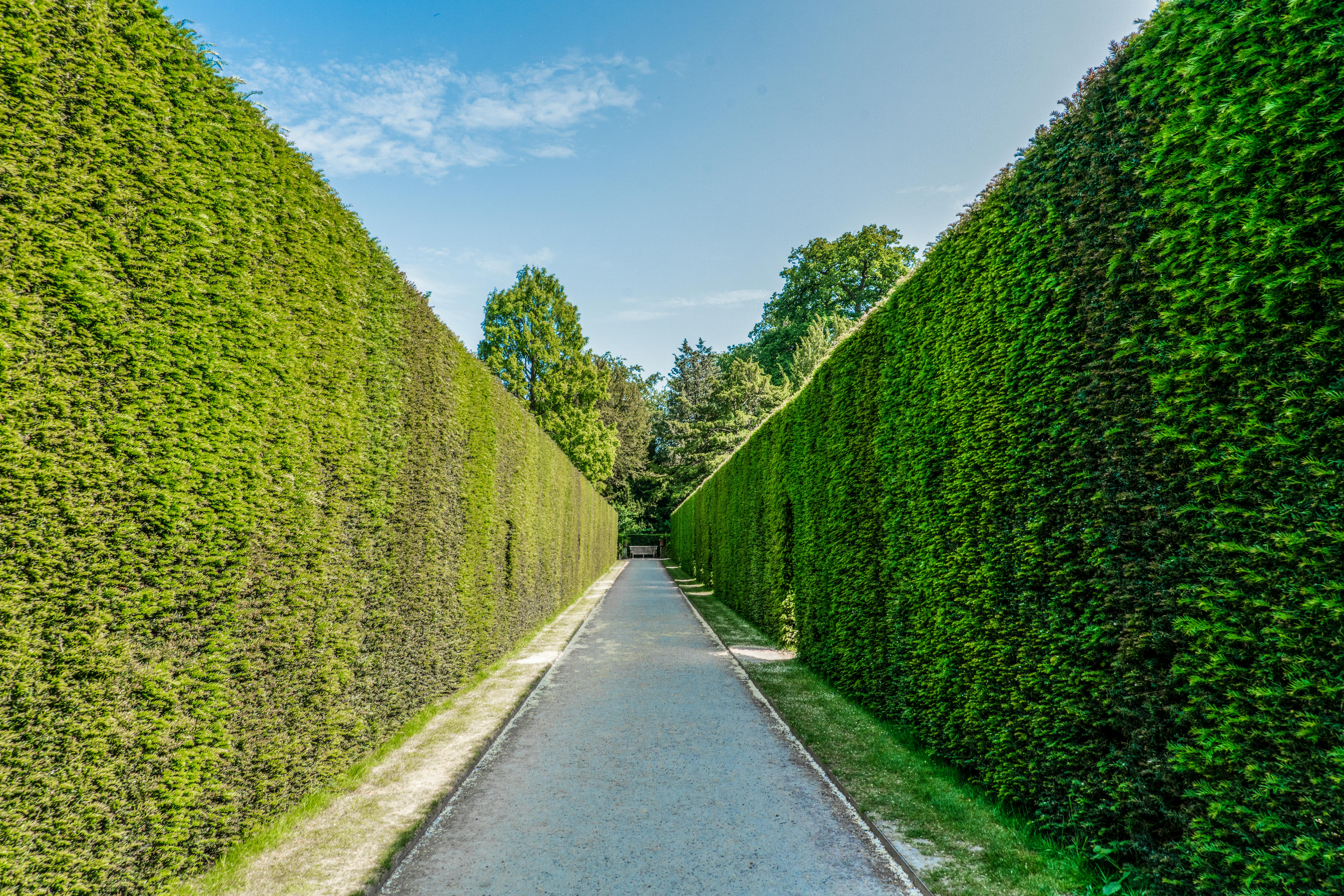 Beautifully maintained garden with trimmed hedges and flower beds