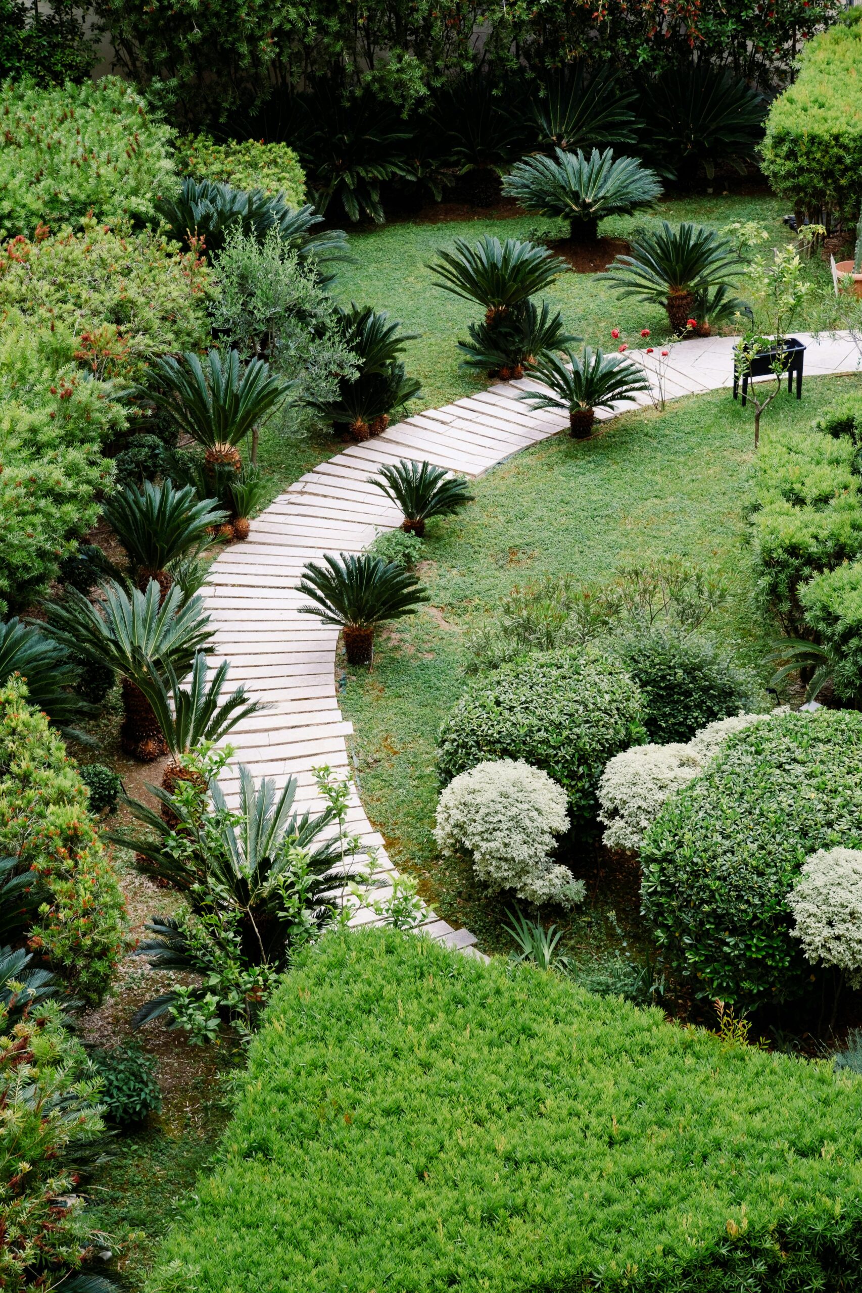 Garden pathway with natural planting and greenery